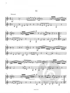 Die Kegel-Duette KV 487 von Wolfgang Amadeus Mozart 