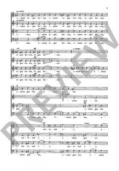 Fünf Motetten von Vic Nees 