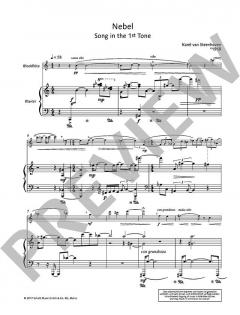 12 Lieder ohne Worte von Karel van Steenhoven (Download) 