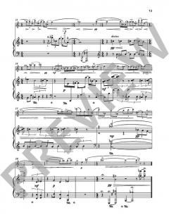 12 Lieder ohne Worte von Karel van Steenhoven (Download) 