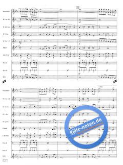 Brazil von S.K. Russell 