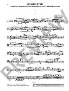 Entwicklungsetüden von Karel Pivonka (Download) 