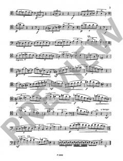 Entwicklungsetüden von Karel Pivonka (Download) 