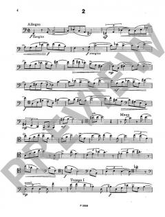 Entwicklungsetüden von Karel Pivonka (Download) 