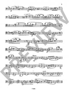 Entwicklungsetüden von Karel Pivonka (Download) 