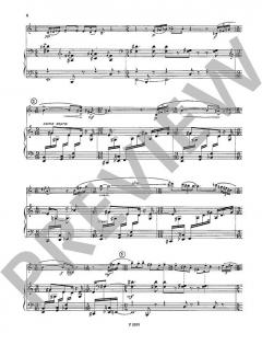 Rhythmen aus der Straße von Hanus Barton (Download) 