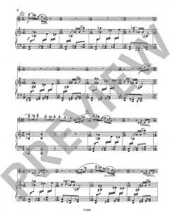 Rhythmen aus der Straße von Hanus Barton (Download) 