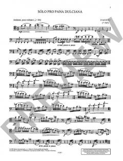 Solo für Herrn Dulzian von Ivan Kurz 