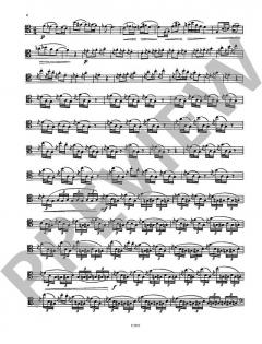 Solo für Herrn Dulzian von Ivan Kurz 