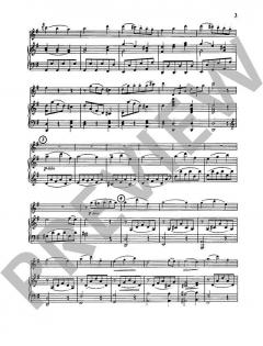 Sonata G-Dur Nr. 2 von Johann Baptist Vanhal 