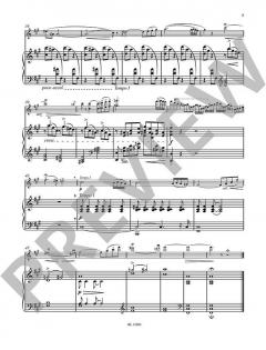 Nocturne op. 51/3 von Jean Sibelius 