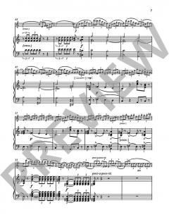 Concerto No. 1 a-Moll von Jean-Baptiste Accolay (Download) 