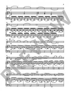 Concerto h-Moll op. 35 von Oskar Rieding (Download) 