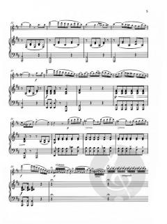 La belle Amazone op. 250/2 von Wilhelm Popp (Download) 