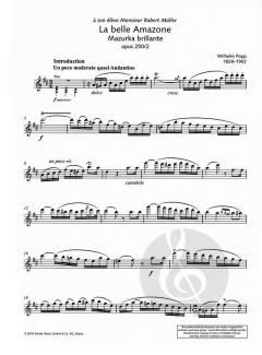 La belle Amazone op. 250/2 von Wilhelm Popp (Download) 