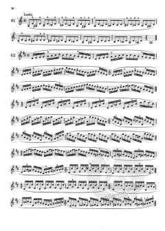 Die Technik des Violinspiels Vol. 1 von Mathieu Crickboom (Download) im Alle Noten Shop kaufen