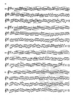 Die Technik des Violinspiels Vol. 1 von Mathieu Crickboom (Download) im Alle Noten Shop kaufen