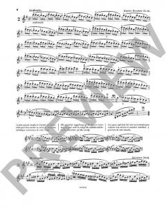 Les Maitres du Violon 7 von Mathieu Crickboom (Download) 