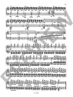Préludes Brefs op. 9 von Richard de Guide (Download) 