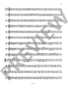 Le Flûtiste en Herbe von Francois Daneels (Download) 