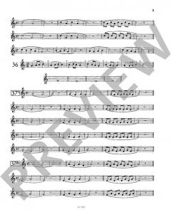 Le Flûtiste en Herbe von Francois Daneels (Download) 