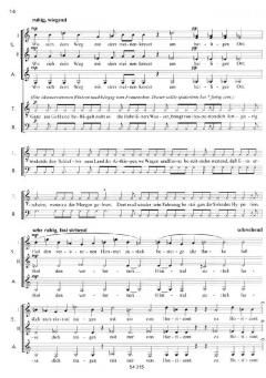 Die Himmelsscheibe von Nebra von Wilfried Hiller (Download) 