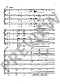 Ne tikai lirika von Peteris Vasks (Download) 