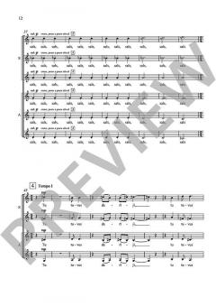 Ne tikai lirika von Peteris Vasks (Download) 