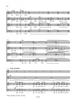 Ugunssargs von Peteris Vasks (Download) 