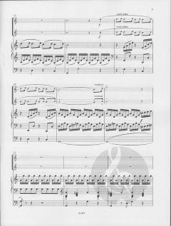 Vivaldissimo von Enjott Schneider (Download) 