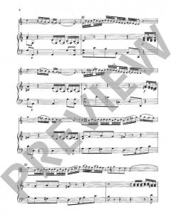 Konzert C-Dur - Viola und Orchester von Franz Xaver Brixi (Download) im Alle Noten Shop kaufen