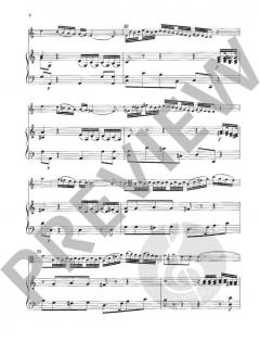 Konzert C-Dur - Viola und Orchester von Franz Xaver Brixi (Download) im Alle Noten Shop kaufen