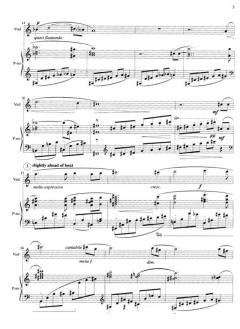 Sonata op. 7 von Fazil Say (Download) 