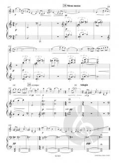 Vox amoris von Peteris Vasks (Download) 