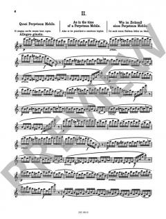 Das 'Non plus ultra' des Flötisten op. 34 von Leonardo de Lorenzo 