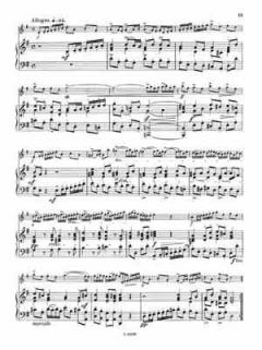 12 Kammersonaten Heft 1 von Johann Mattheson 