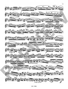 25 Capricen und Sonate op. 153 Heft 1 von Sigfrid Karg-Elert 