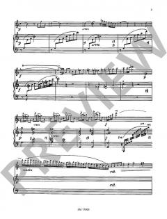 Kadenzen für Flöte und Harfe von Karl Pillney 