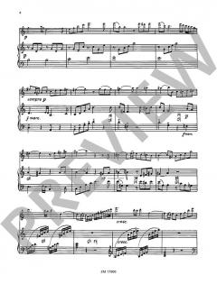 Kadenzen für Flöte und Harfe von Karl Pillney 