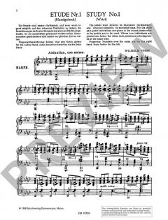 Acht große Konzert-Etüden von Wilhelm Posse 