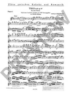 Trio nach op. 87 von Ludwig van Beethoven 