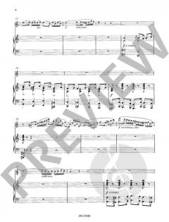 Ungarische Rhapsodie op. 385 von Wilhelm Popp 