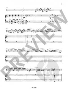 Ungarische Rhapsodie op. 385 von Wilhelm Popp 