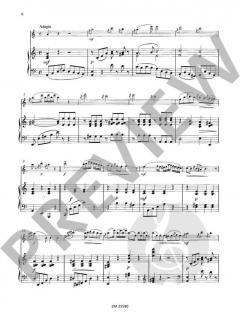 Ungarische Rhapsodie op. 385 von Wilhelm Popp 