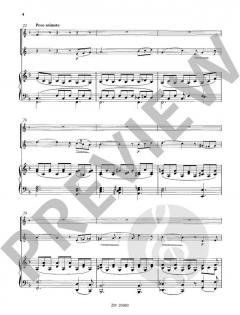 Souvenir du Rigi op. 38 von Doppler 