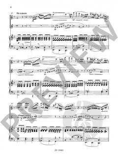 Souvenir du Rigi op. 38 von Doppler 