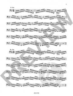 Technische Studien von Robert Müller 