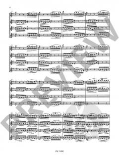 Die Moldau von Bedrich Smetana 