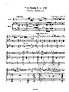 Stimmungsbilder op. 471 von Wilhelm Popp 