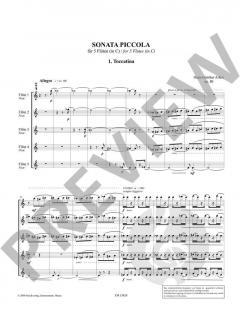 Sonata piccola op. 80 von Hans-Günther Allers 